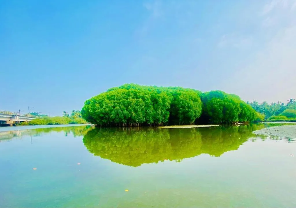 Green Island Homestay Riverside Kozhikode